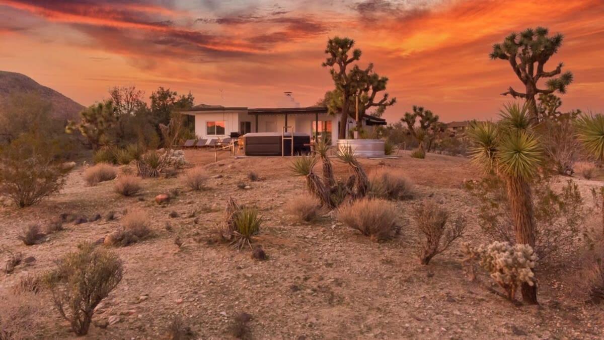 Kinetic House-Joshua Trees Sculptures Cowboy Pool Villa Yucca Valley Eksteriør billede